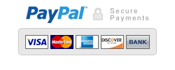 pagamenti sicuri con PayPal